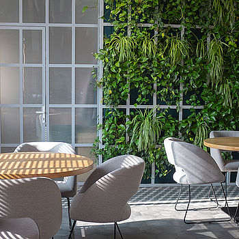 Workspace mit Glasfront und Pflanzen an der Wand