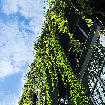 Nachhaltige Gebäude mit GreenClean Gebäude