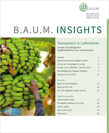 B.A.U.M. Insights_4_2022