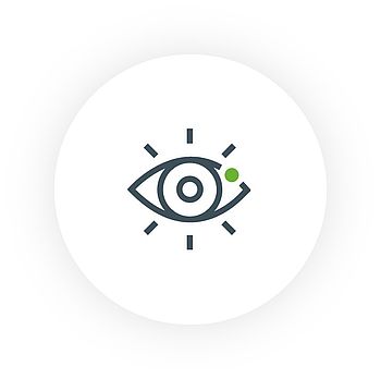 Wackler Vision Icon