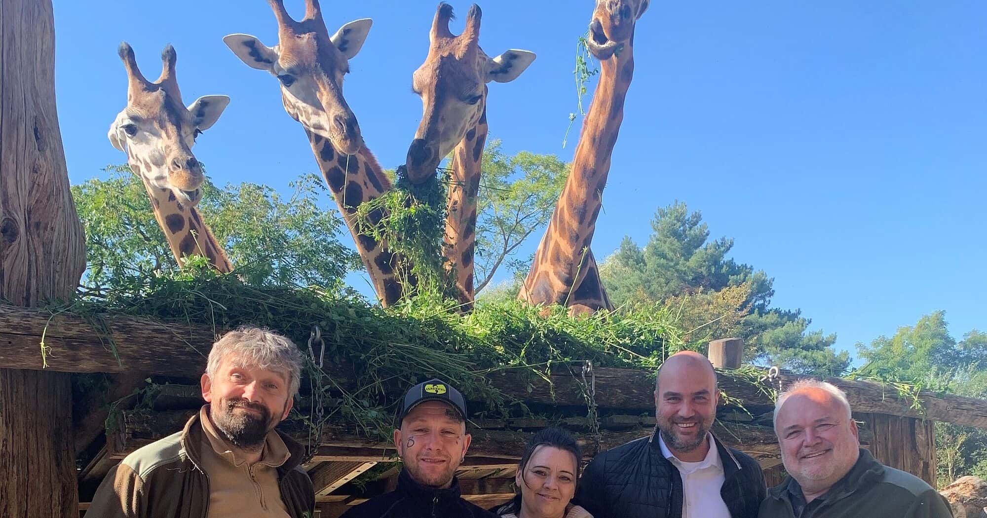 Vier Giraffen im Zoo Leipzig mit Menschen im Vordergrund.